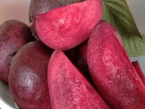 Malaysian red guava