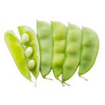 Beans - 3 seeds tiny beans | Moonu mani payar (It's a very rare bean that can be harvested year round and has a lifespan of up to five years))