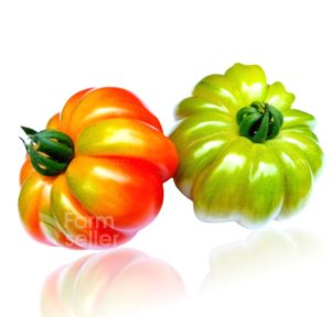 Tomato - Kashi tomato