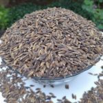 Paddy | Black rice | Barma Black rice | Cancer-fighter rice