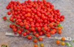 Spoon tomato - World's smallest tomato