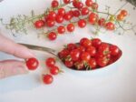 Spoon tomato - World's smallest tomato