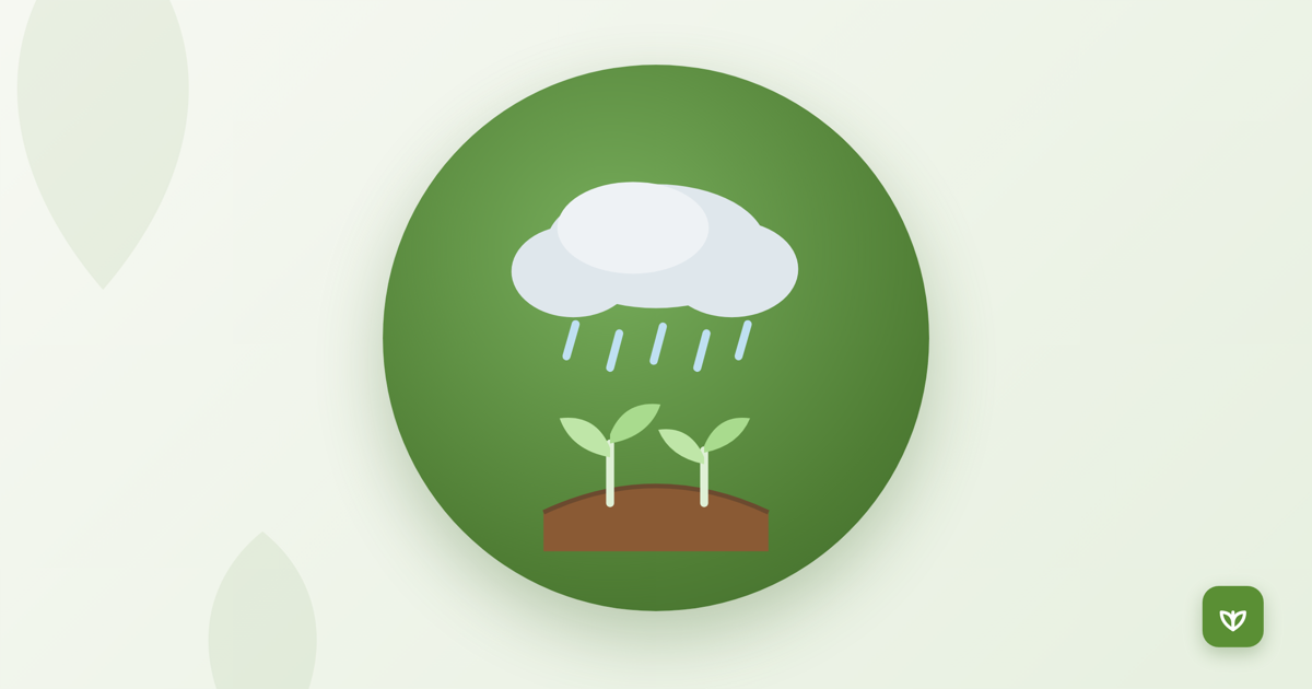 Monsoon vegetable planting guide illustration