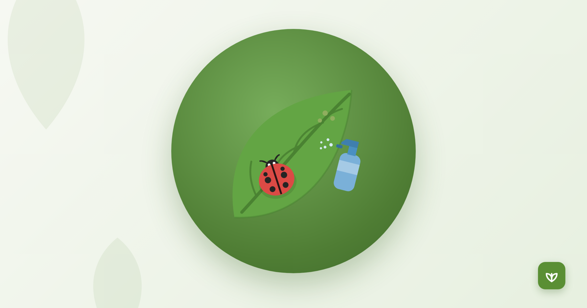 Organic pest control for home garden illustration